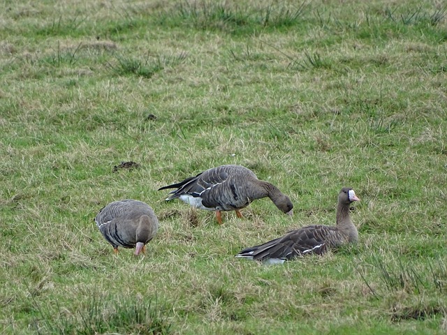 竞技环境中 竞技环境中