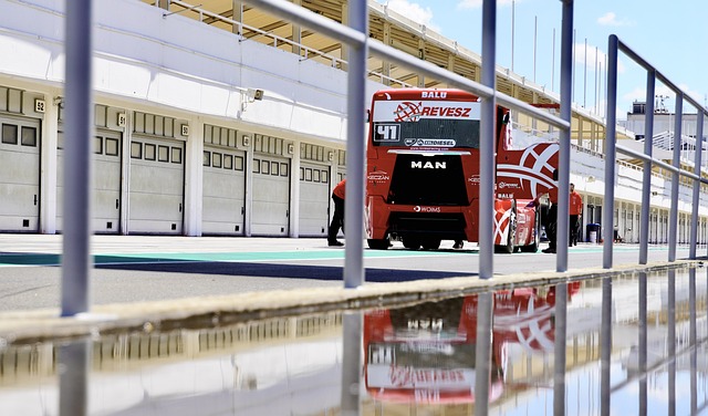 圳新鹏城的 圳新鹏城的