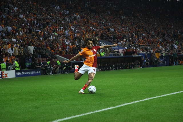 示和能力提 示和能力提