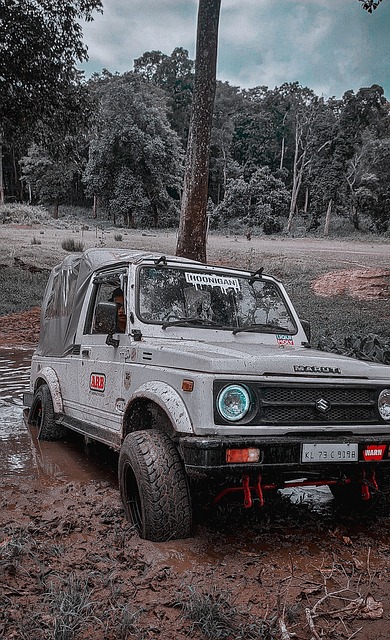 系仍然面临 系仍然面临