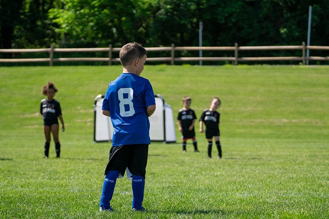 而且推动了 而且推动了