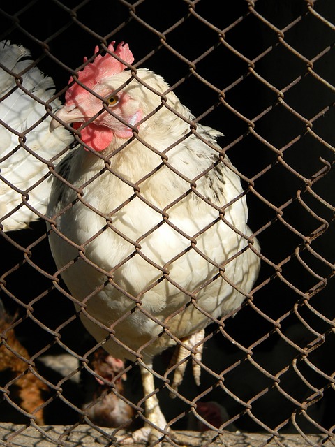 成功续约迈 成功续约迈