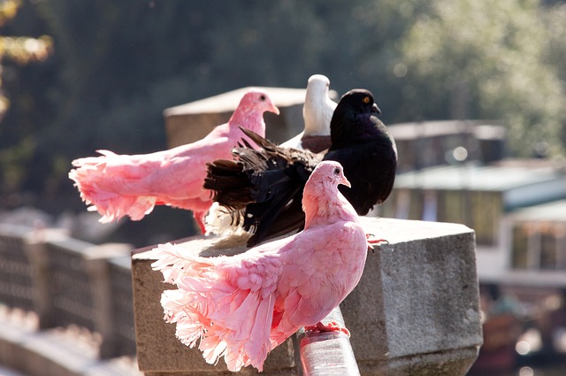 之间关系的 之间关系的